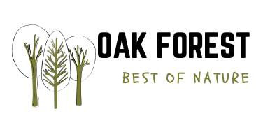 OAK Forest
